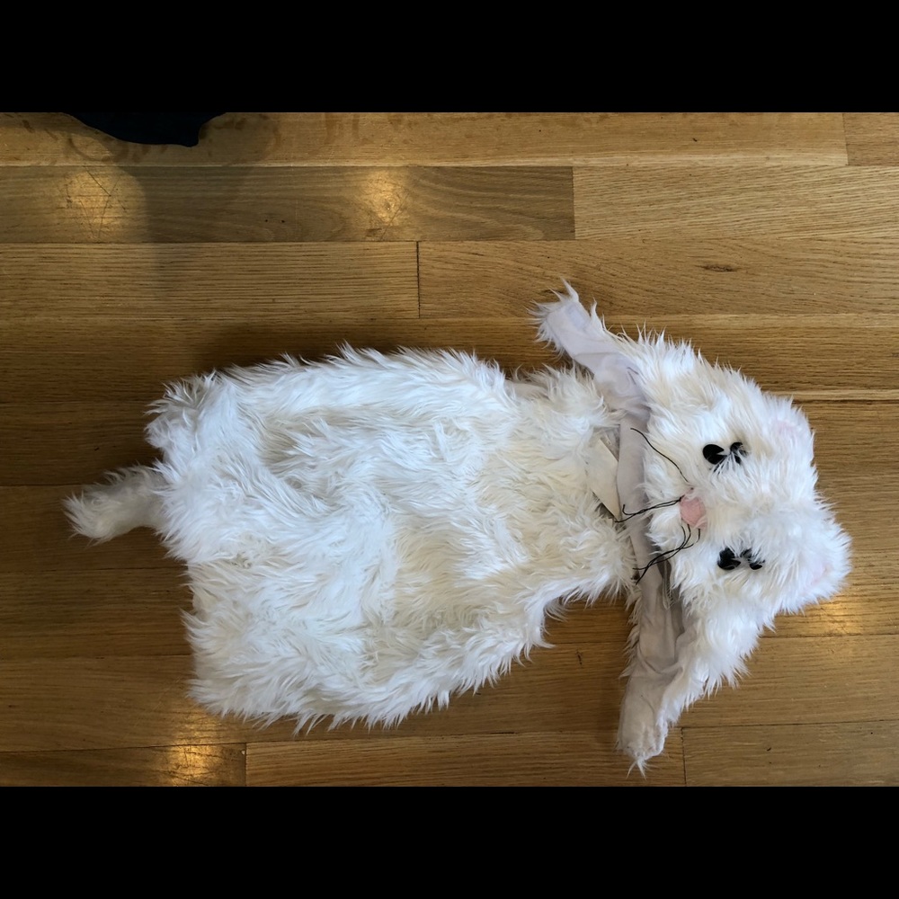 Pottery Barn Kids White kitten costume